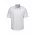  S251MS - Mens Ambassador Short Sleeve Shirt - Silver Grey