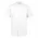  CH329MS - Mens Salsa Short Sleeve Chef Shirt - White
